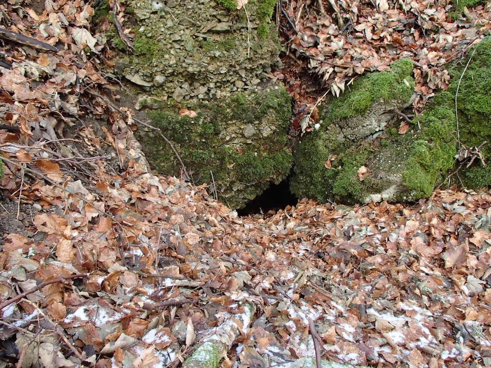 L'entrée arrière du bunker du SP1