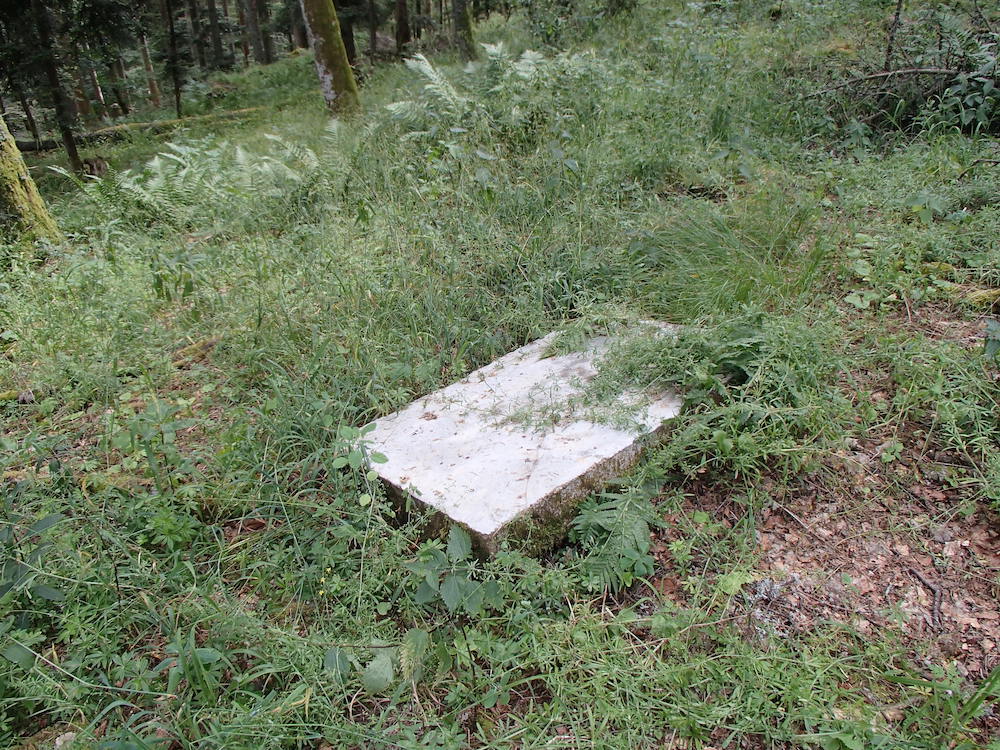Dalle en béton de la Première Guerre mondiale qui traine dans la forêt du Holzwasen.