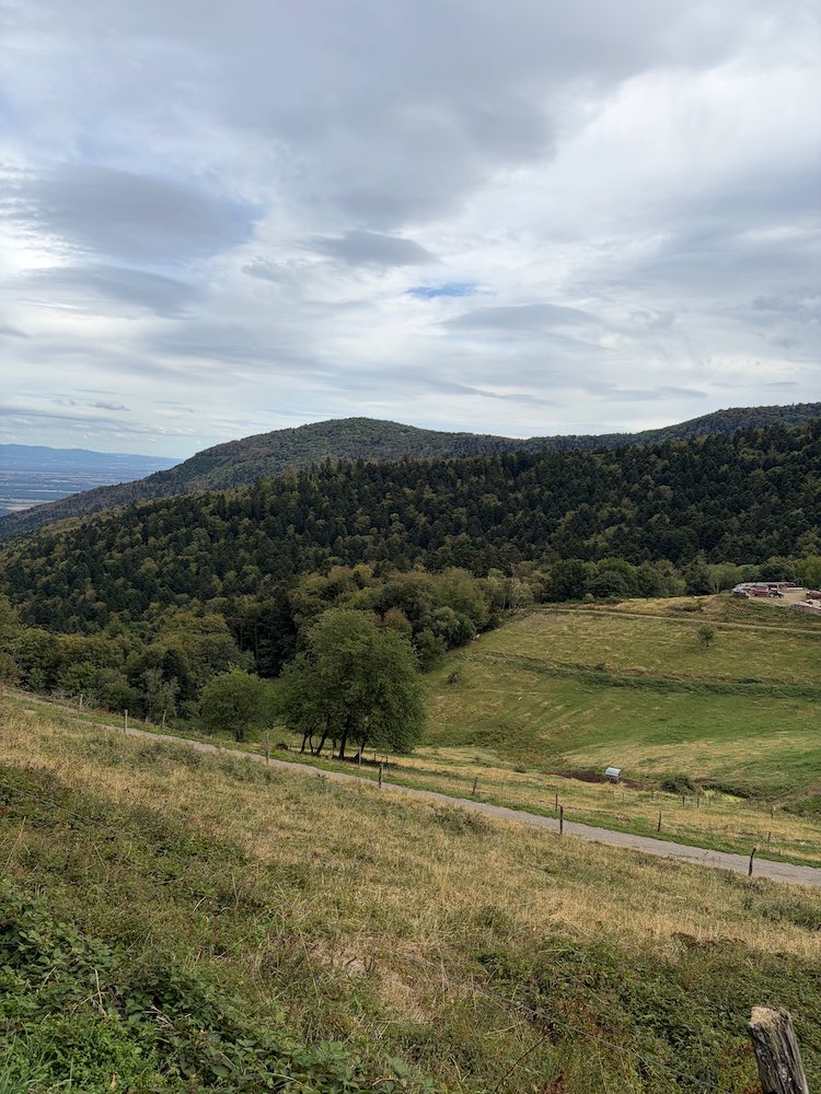 Photo du Kohlschlag sur l'ancien champ de bataille du Sudel.