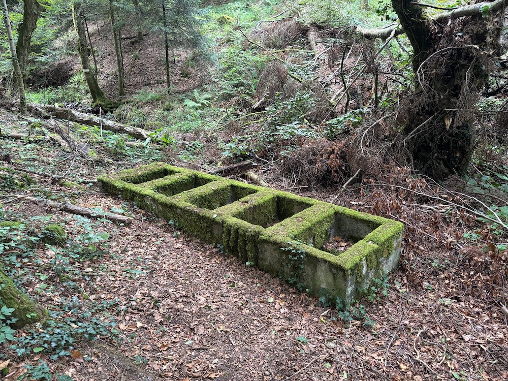 Anciens bains allemands de la Première Guerre mondiale, situés à l'arrière front du champ de bataille du Vieil Armand.
