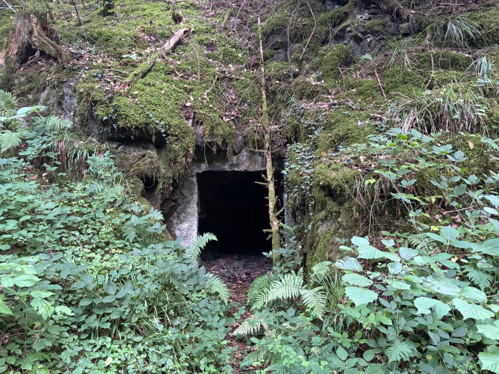 Une entrée latérale du poste de mitrailleuse situé à la Croix Zimmermann.
