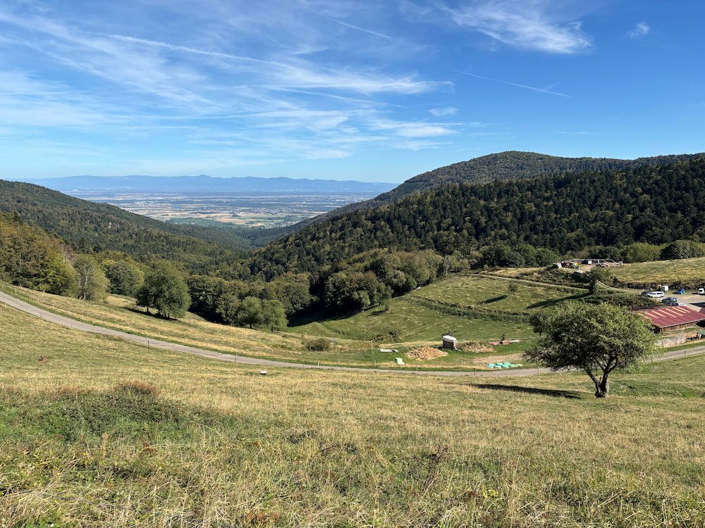 Photographie du Kohlschlag, ancienne base arrière de l'armée française lors des batailles de 14-18 dans les Vosges.