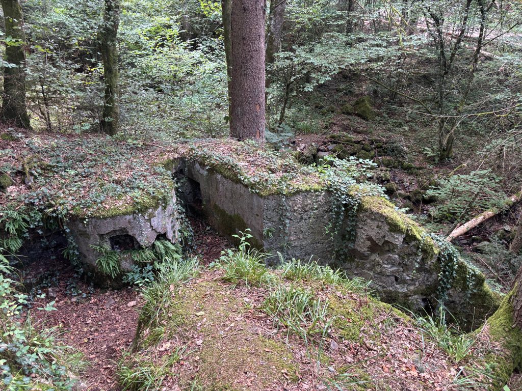 Vue par au-dessus du blockhaus qui servait de poste de mitrailleuse à la Croix ZImmermann.