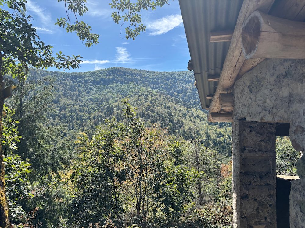 Vue sur le Molkenrain, position française du Vieil Armand, depuis l'abri Baratin.