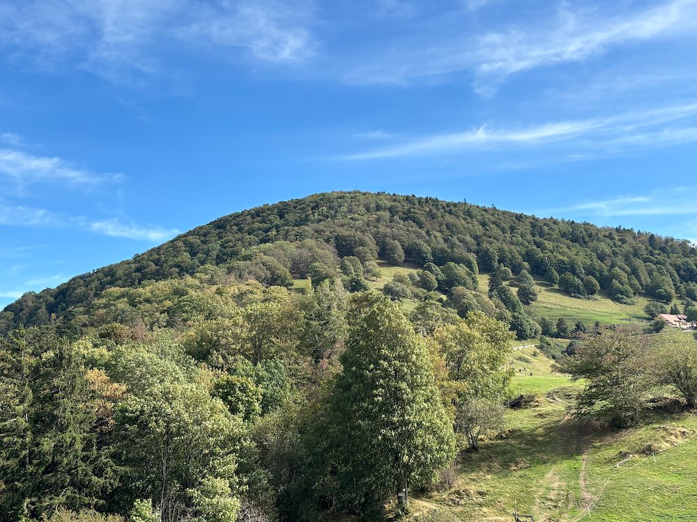 Vue sur le Molkenrain depuis les ruines du château de Freundstein.