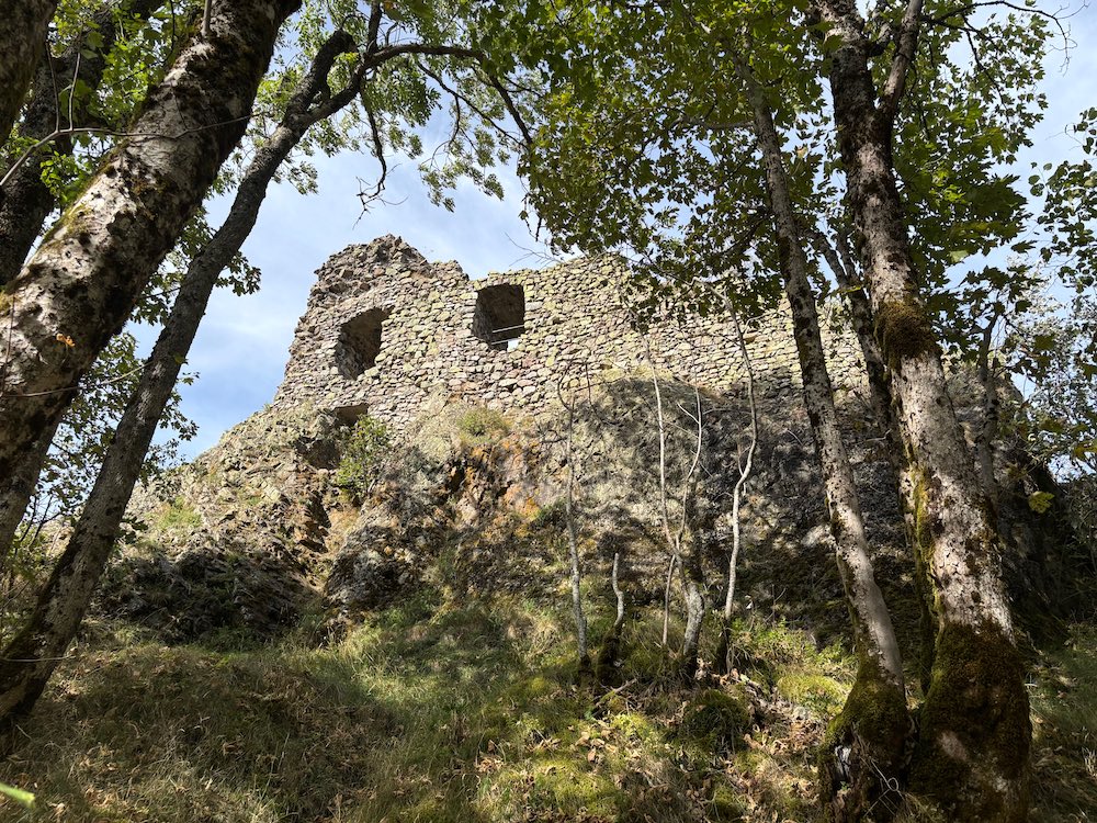 Vue sur les ruines du château de Freundstein, en contrebas du donjon.