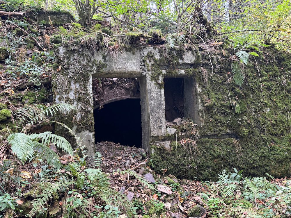 Ancien abri allemand situé au Holzwasen.