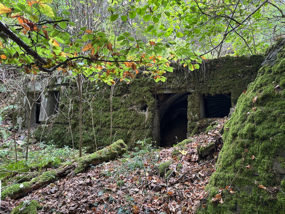 Anciens abris allemands situés au Holzwasen.