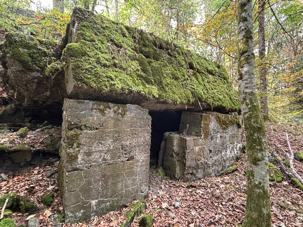 Le blockhaus effondré du Holzwasen, vu de côté.