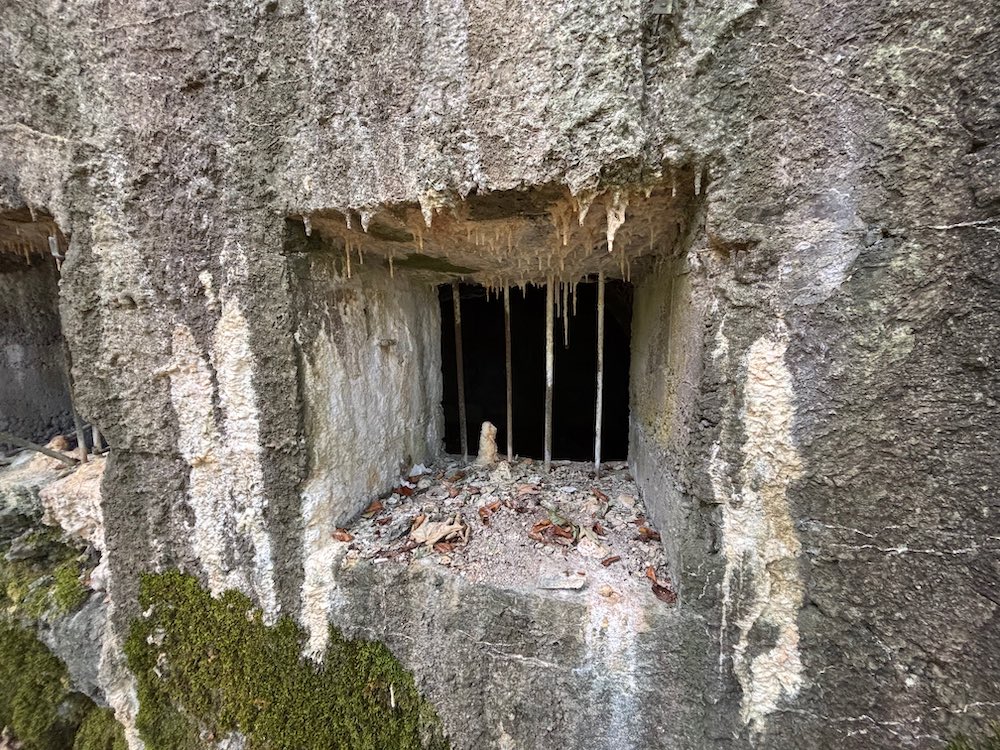 Les barreaux à l'une des fenêtres de la caserne allemande qui se situe au Holzwasen.