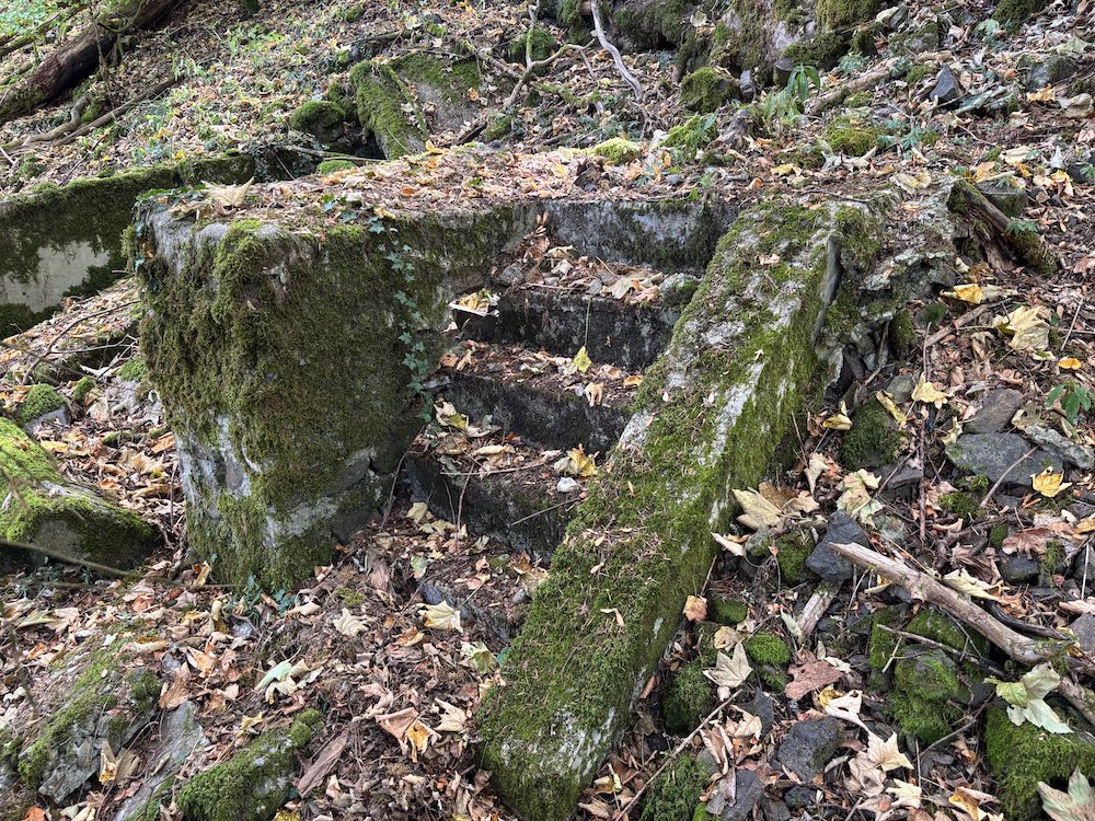 Un vieil escalier qui témoigne de la présence d'une ancienne construction allemande de la Première Guerre mondiale.