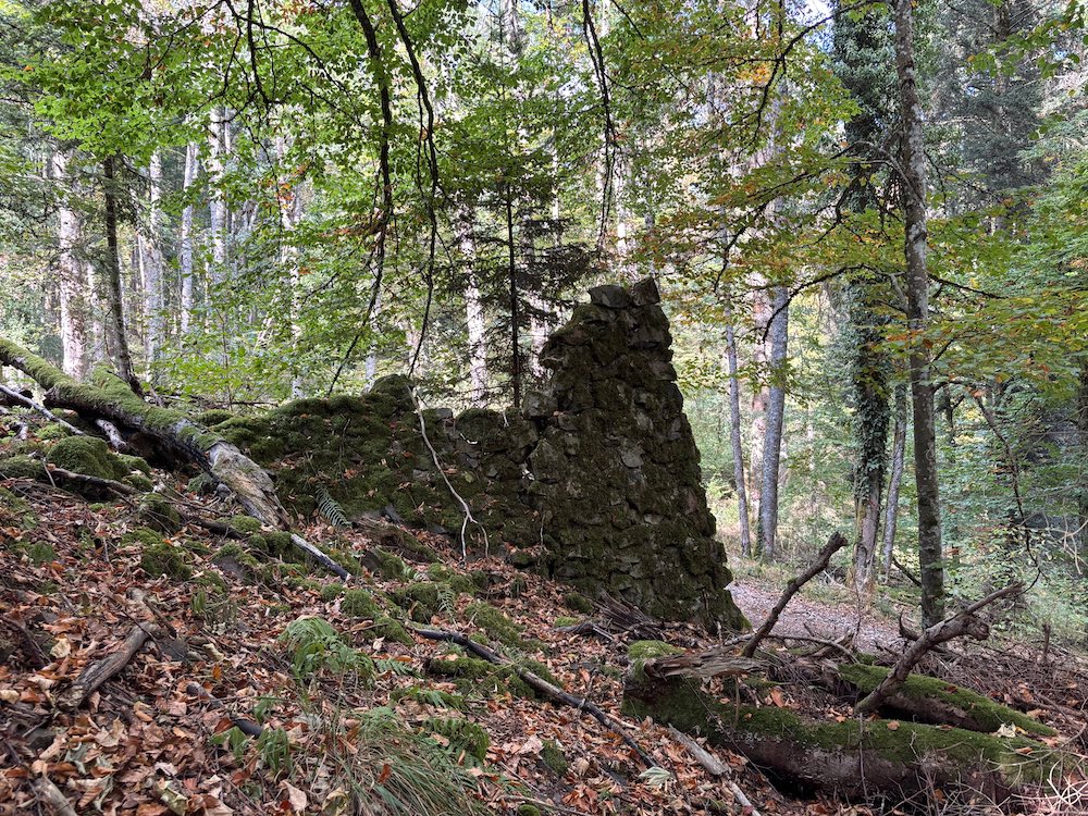 Vieux mur en pierre, vestige d'une construction allemande de la Première Guerre mondiale dans le secteur du Holzwasen.